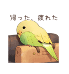 インコ日記（個別スタンプ：7）