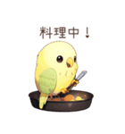 インコ日記（個別スタンプ：10）