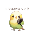 インコ日記（個別スタンプ：13）