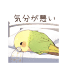 インコ日記（個別スタンプ：15）