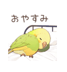 インコ日記（個別スタンプ：16）