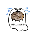 太郎くん HELLOWEEN（個別スタンプ：3）