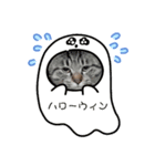 太郎くん HELLOWEEN（個別スタンプ：5）