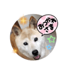 みんなと一緒 26（個別スタンプ：1）