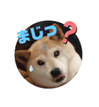 みんなと一緒 26（個別スタンプ：6）