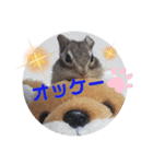 みんなと一緒 26（個別スタンプ：7）