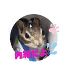 みんなと一緒 26（個別スタンプ：10）