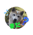 みんなと一緒 26（個別スタンプ：11）