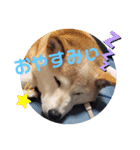 みんなと一緒 26（個別スタンプ：13）