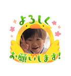 せいらかいじゅスタンプ（個別スタンプ：1）