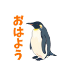 ゲームに誘うペンギン（個別スタンプ：1）