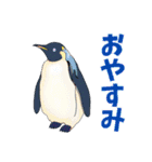 ゲームに誘うペンギン（個別スタンプ：2）