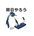 ゲームに誘うペンギン（個別スタンプ：4）