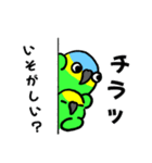 デカ文字！ボウシインコ（個別スタンプ：5）