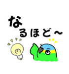 デカ文字！ボウシインコ（個別スタンプ：11）