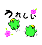 デカ文字！ボウシインコ（個別スタンプ：13）