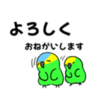 デカ文字！ボウシインコ（個別スタンプ：19）