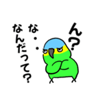 デカ文字！ボウシインコ（個別スタンプ：24）