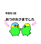 デカ文字！ボウシインコ（個別スタンプ：31）