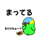 デカ文字！ボウシインコ（個別スタンプ：33）