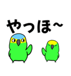 デカ文字！ボウシインコ（個別スタンプ：35）