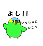 デカ文字！ボウシインコ（個別スタンプ：40）