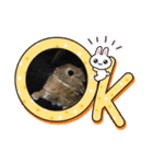 兎兎の日常（個別スタンプ：8）