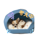 スタンプ みぃ。（個別スタンプ：6）