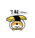 玉子犬【日常編】（個別スタンプ：1）
