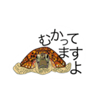 サカナワークス（個別スタンプ：11）