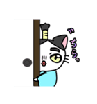 福を呼ぶ！！かぎしっぽねこ大ちゃん侍（個別スタンプ：7）