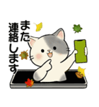 ほのぼの猫さん ♡ 秋の挨拶（個別スタンプ：36）