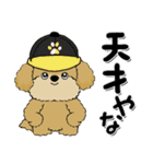 プードル犬『関西弁』（個別スタンプ：5）