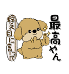 プードル犬『関西弁』（個別スタンプ：10）