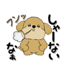 プードル犬『関西弁』（個別スタンプ：12）