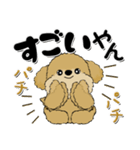 プードル犬『関西弁』（個別スタンプ：13）