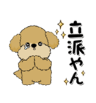 プードル犬『関西弁』（個別スタンプ：14）