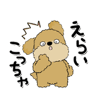 プードル犬『関西弁』（個別スタンプ：19）