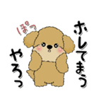 プードル犬『関西弁』（個別スタンプ：22）