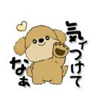 プードル犬『関西弁』（個別スタンプ：25）