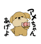 プードル犬『関西弁』（個別スタンプ：34）