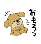 プードル犬『関西弁』（個別スタンプ：38）