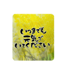 熨斗〜大きくて見やすい手書き筆文字〜（個別スタンプ：8）