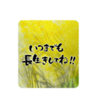 熨斗〜大きくて見やすい手書き筆文字〜（個別スタンプ：21）
