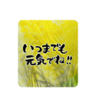 熨斗〜大きくて見やすい手書き筆文字〜（個別スタンプ：23）