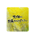 熨斗〜大きくて見やすい手書き筆文字〜（個別スタンプ：24）