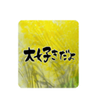 熨斗〜大きくて見やすい手書き筆文字〜（個別スタンプ：29）