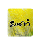 熨斗〜大きくて見やすい手書き筆文字〜（個別スタンプ：30）