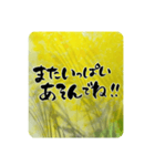 熨斗〜大きくて見やすい手書き筆文字〜（個別スタンプ：31）