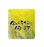 熨斗〜大きくて見やすい手書き筆文字〜（個別スタンプ：33）